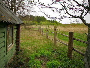 Каникулы за городом